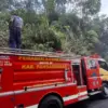 Pemadam kebakaran, hutan parigi pangandaran