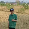 Annur
