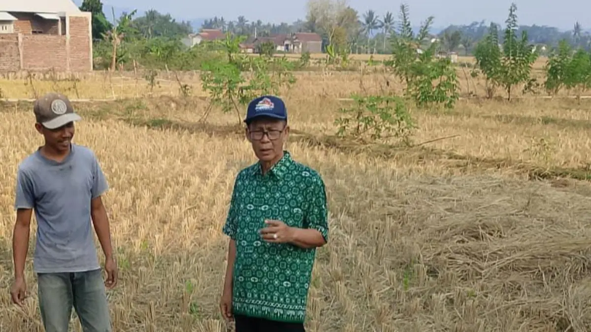 Annur