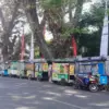 Pkl