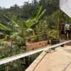 dugaan motif pembunuhan di Karangjaya
