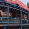 becak listrik kota tasikmalaya, bantuan presiden