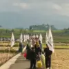 Desa wanasigra