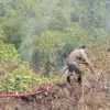 Kebakaran eks tpa mangunreja