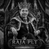 Hanafi raja plt kota tasikmalaya