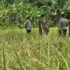 Limbah umkm karangnunggal