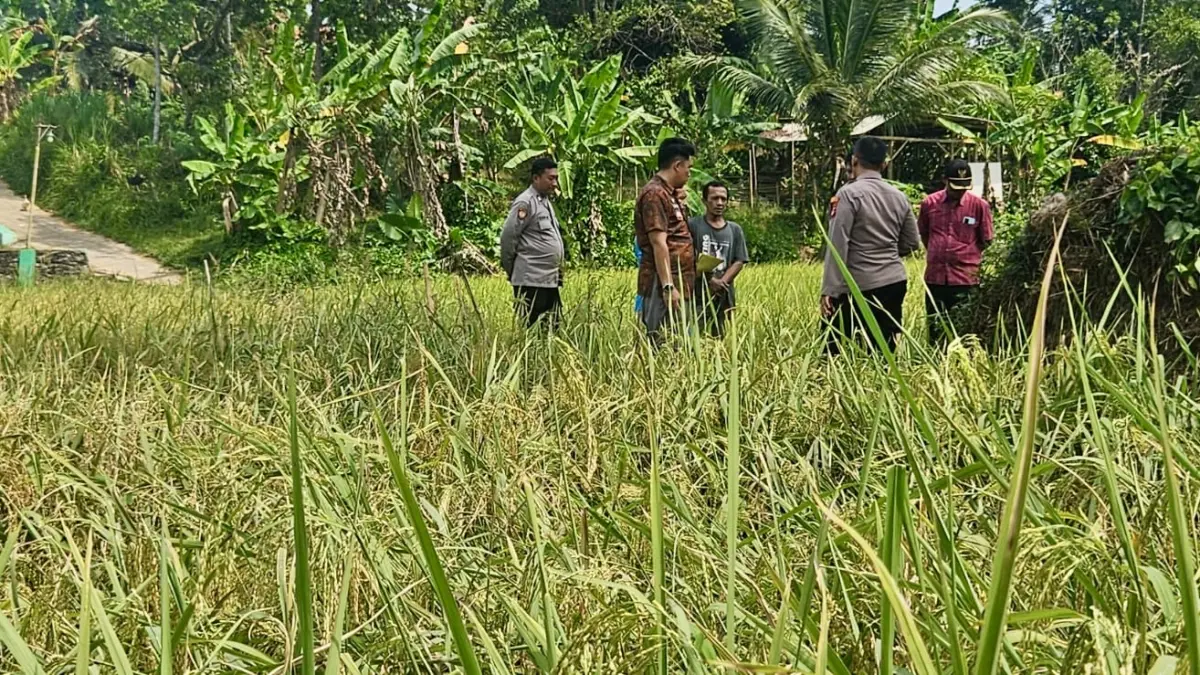 Lima UMKM di Karangnunggal Tasikmalaya Ditegur, Terkait Dugaan Pencemaran yang Dikeluhkan Warga Limbah umkm karangnunggal
