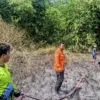 Kebakaran lahan kering