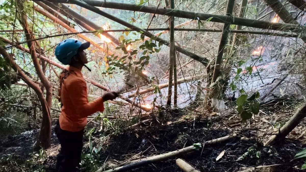Dalam Sebulan 54 Kebakaran Terjadi di Kabupaten Ciamis, Didominasi Kebakaran Lahan Kebakaran ciamis