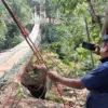 jembatan gantung pongpet pangandaran