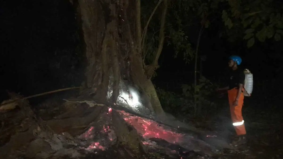 Karhutla Meningkat di Ciamis, Sehari Ada Tiga Sampai Empat Kejadian Kebakaran karhutla di ciamis