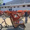Becak listrik pangandaran