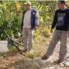 Desa cikupa karangnunggal
