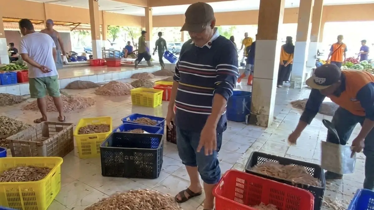 Sepi Peminat, Harga Udang Korosok Anjlok di TPI Pangandaran Harga udang tempat pelelangan ikan pangandaran