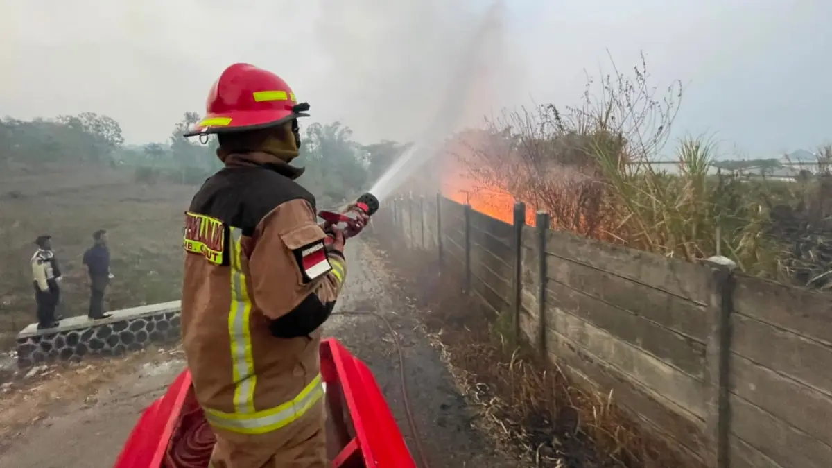 Kasus Kebakaran Lahan di Garut Melonjak Drastis di Musim Kemarau Pemadaman