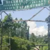 Gunung