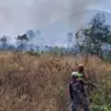 Kebakaran lahan