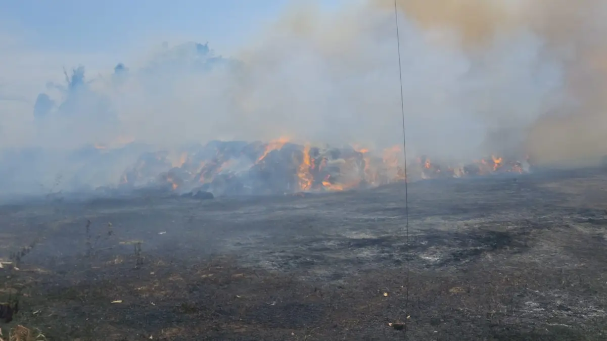 Kebakaran di Pangandaran Bulan September Malah Lebih Banyak kebakaran pangandaran