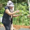 Industri Tenun