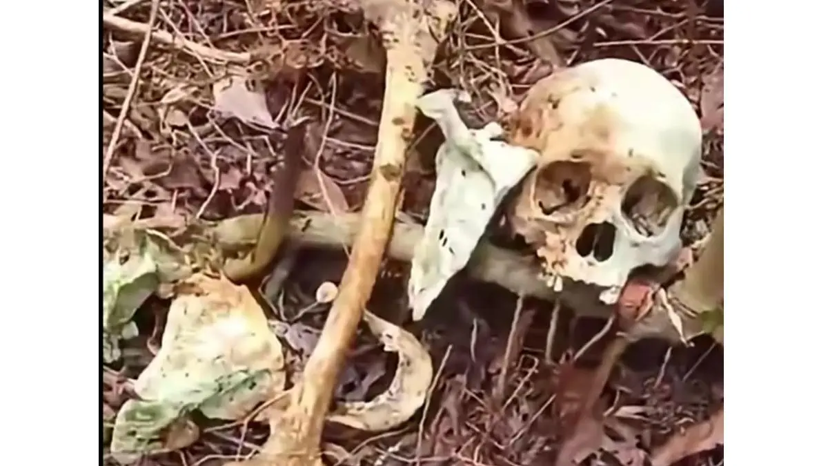 Ditemukan Kerangka Manusia di Hutan Jalur Menuju Tempat Wisata Religi Pamijahan Tasikmalaya tengkorak manusia di pamijahan