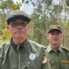 Monyet Kelaparan Serbu Ladang Warga