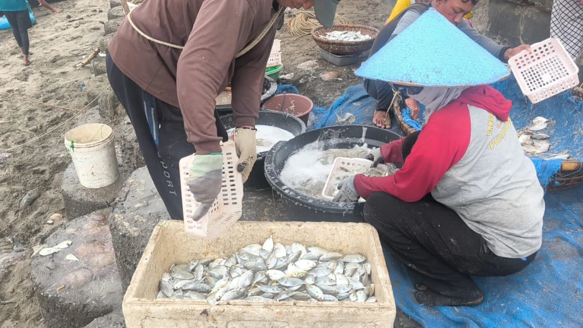Jaring Arad Jadi Tontonan Wisatawan