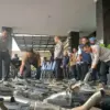 Knalpot brong, polres tasikmalaya kota