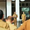 sekda